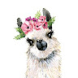 Meet your Posher, Rayne